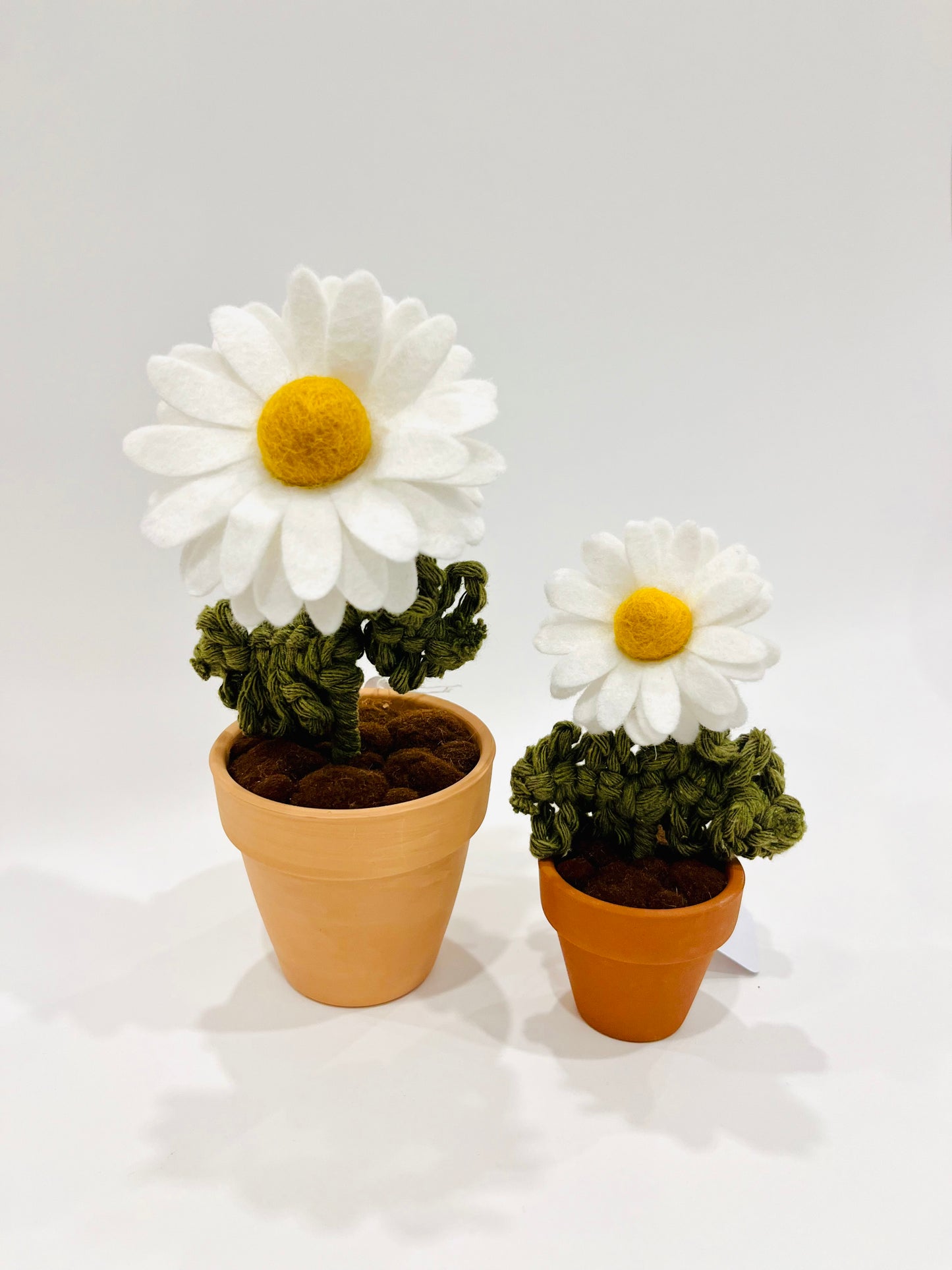 Felt Daisy in Terracotta Pot - Handmade in Ottawa