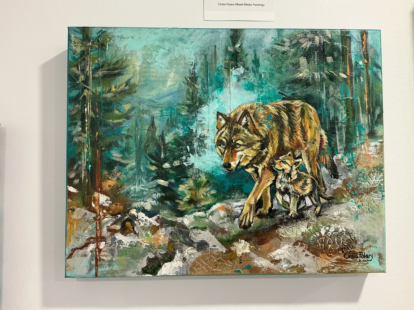 Cintia Polary Art - Can you see?