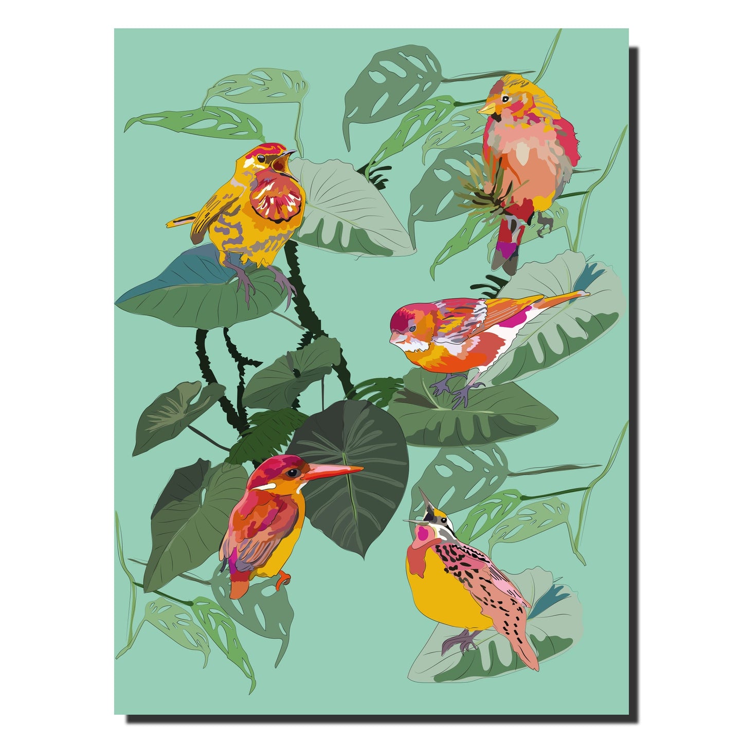 Bird Notebook - Lili Graffiti