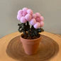 Felt Pompom Flowers in Terracotta Pot - Handmade in Ottawa