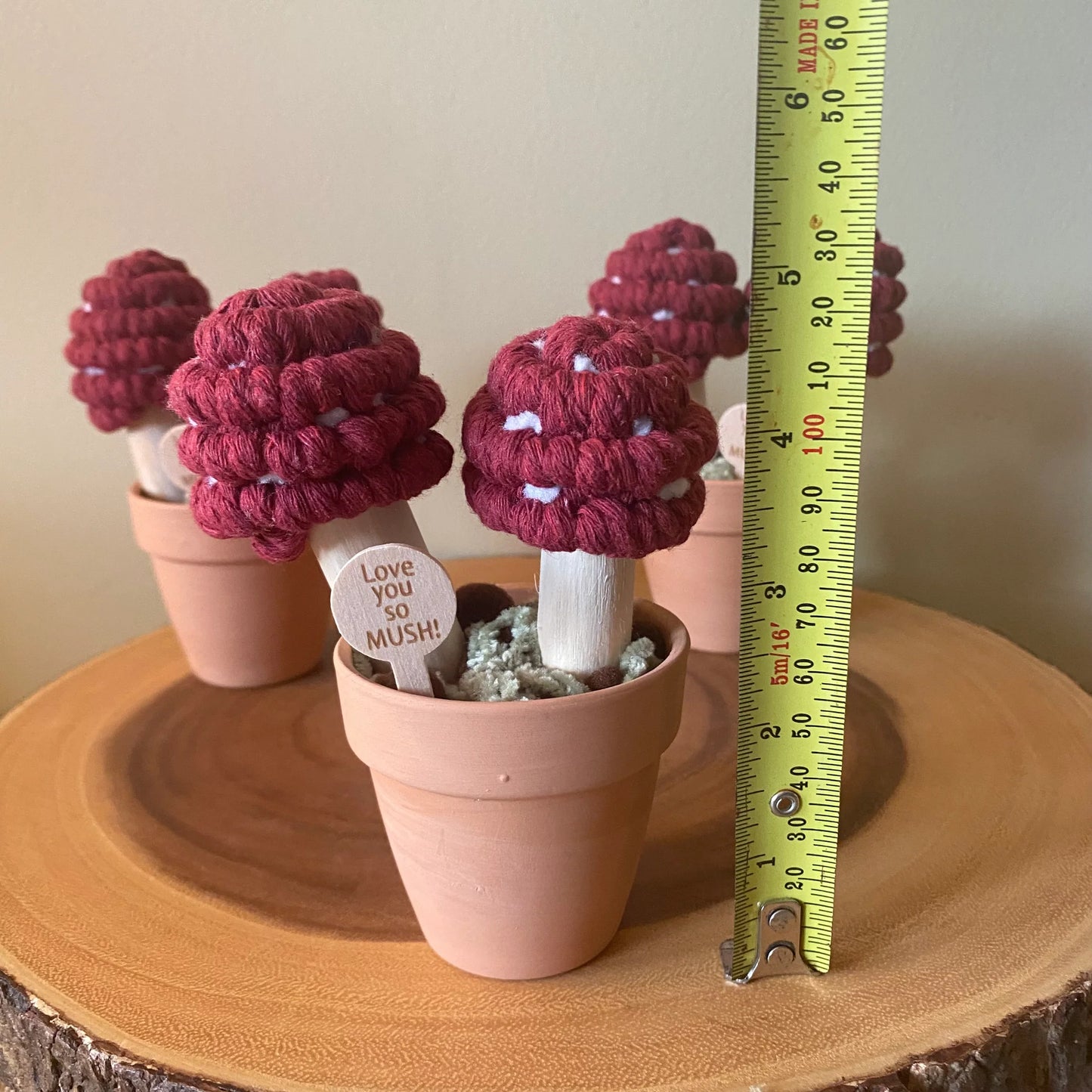 Felt Mushroom in Terracotta Pot - I love you so mush Handmade in Ottawa