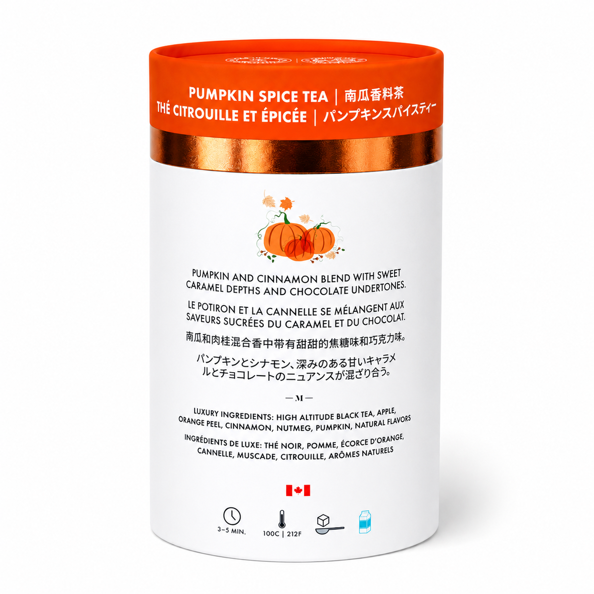 Pumpkin Spice - Teabags - M21