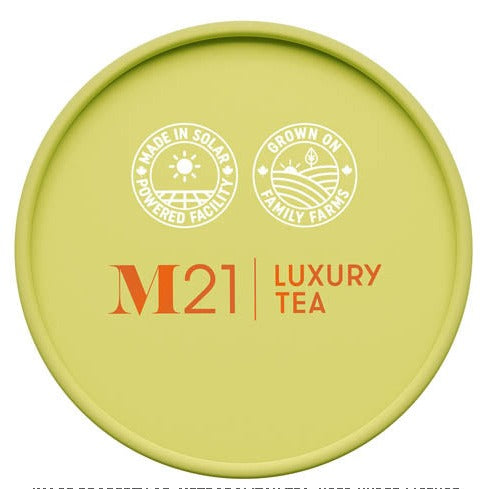 Strawberry Kiwi - Teabags - Tisane - M21