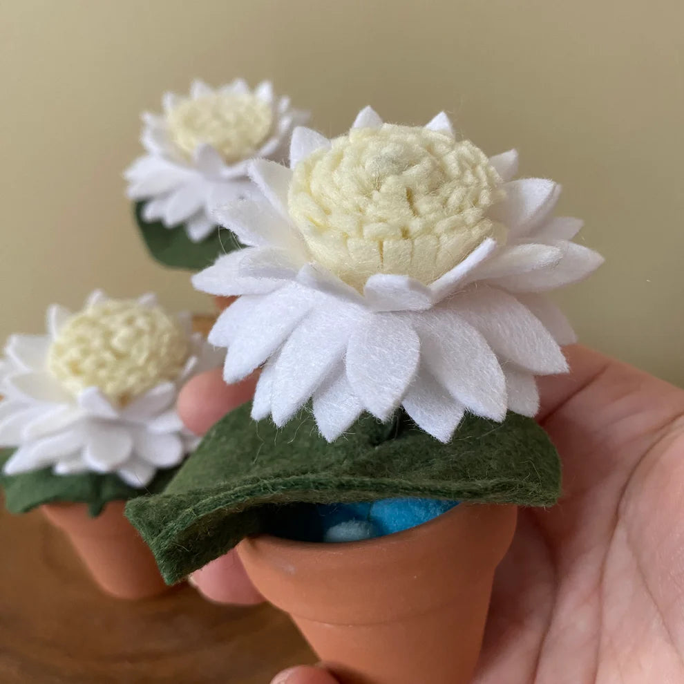 Water Lily: July Birth Month Felt Flower- Handmade in Ottawa