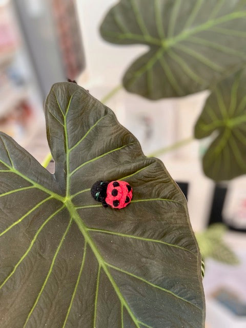 Lady Bug Plant Charm/ Fridge Magnet - ForgetBKnot