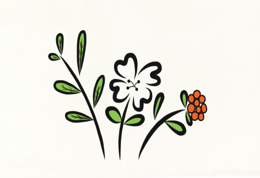Fairtrade Organic Cotton Tea Towels - Kindred Apparel