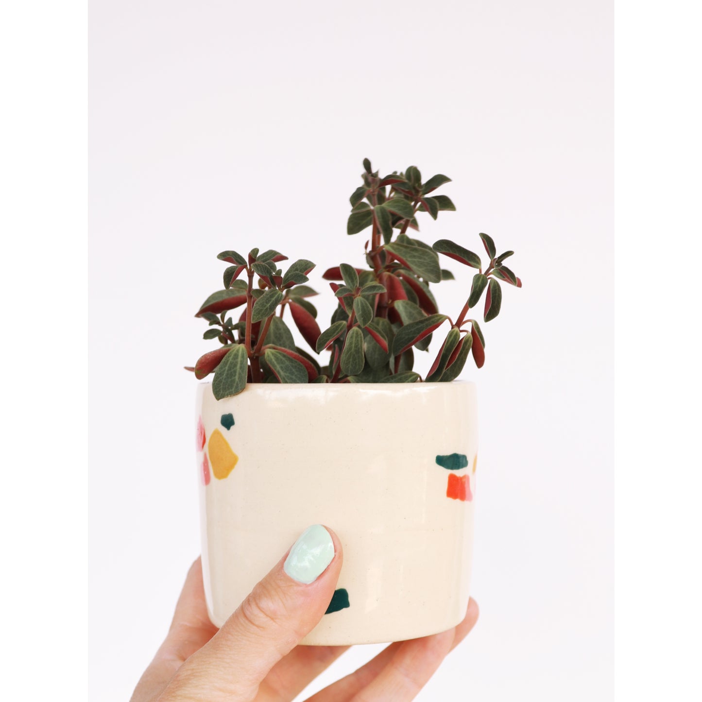 Terrazzo Small Planter 3" - Nightshift Ceramics