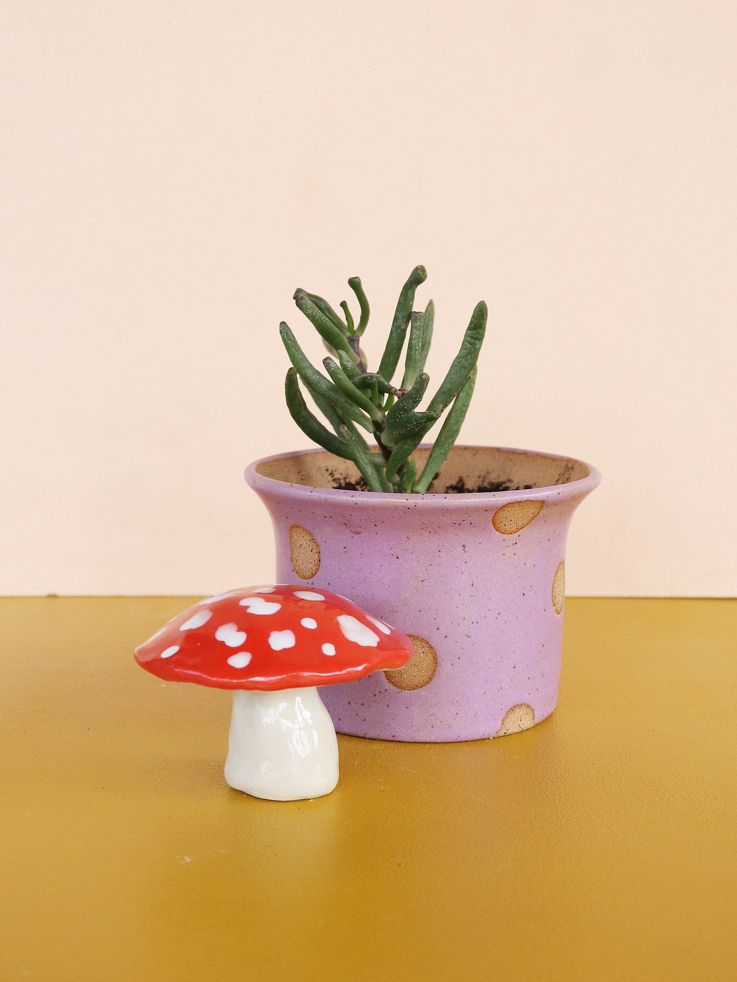 Polka Dots Small Planter 3" - Nightshift Ceramics