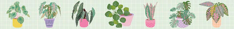 Plants Washi Tape - Lili Graffiti