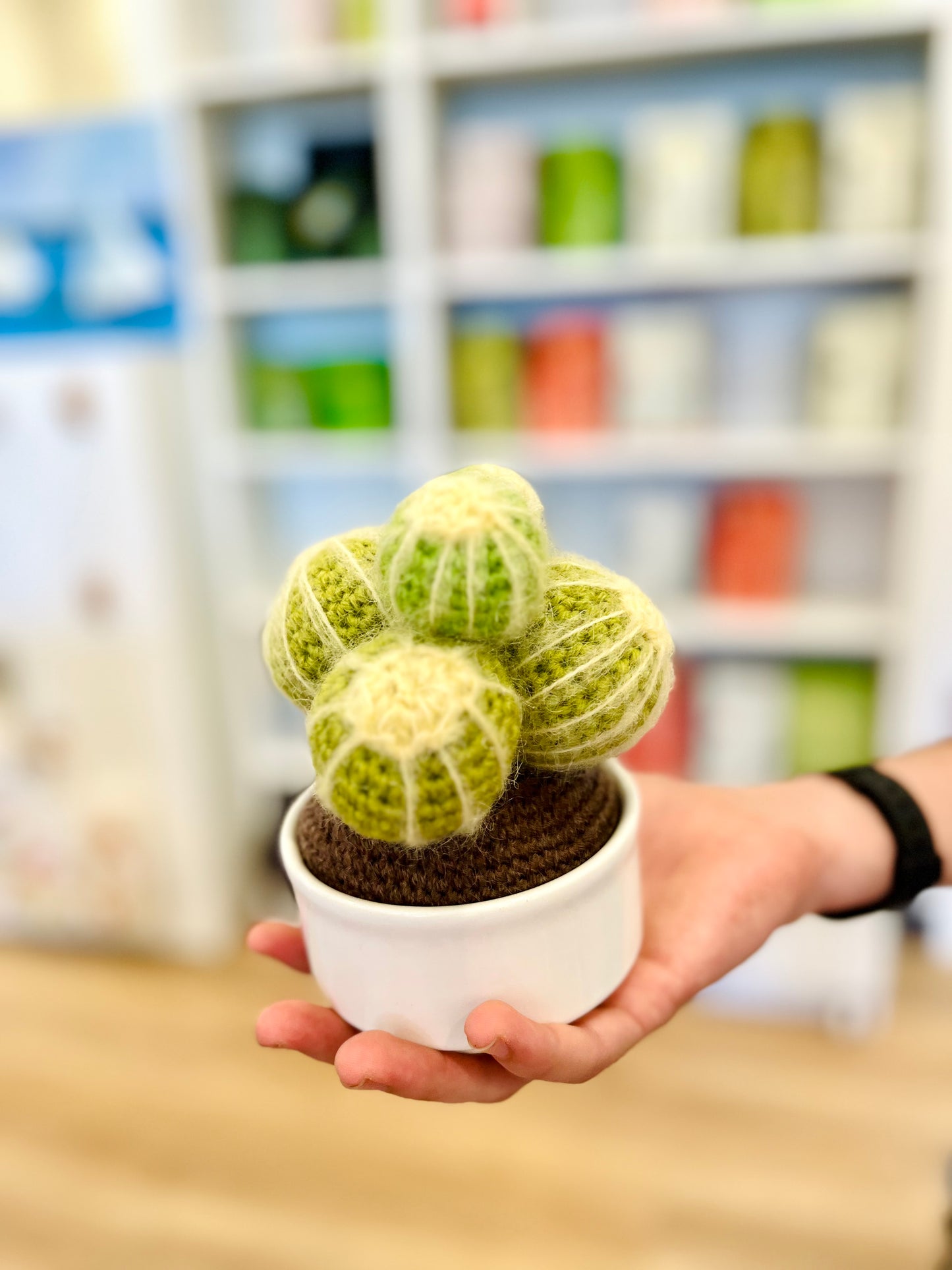 Crochet Cacti by Babi
