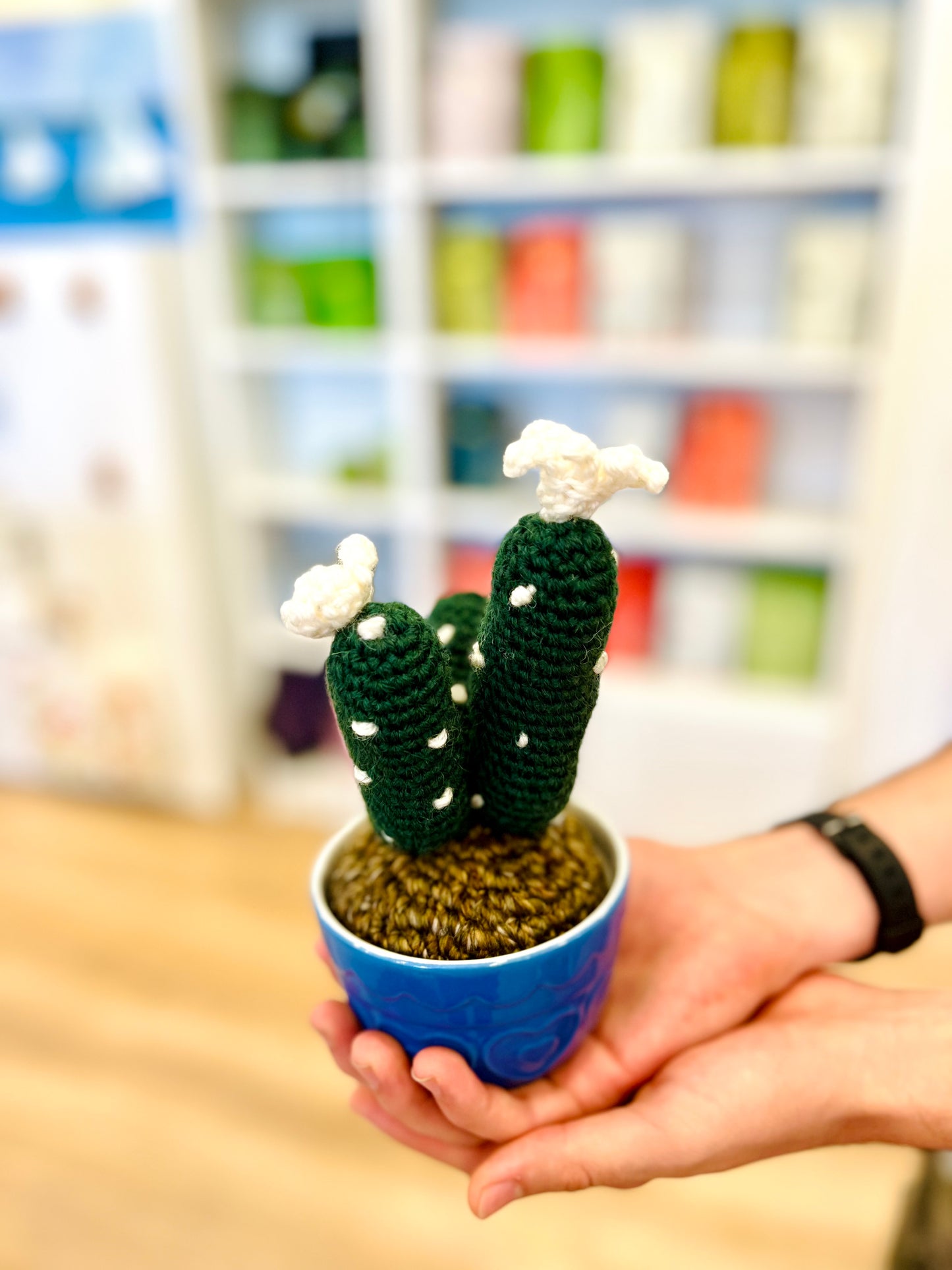 Crochet Cacti by Babi