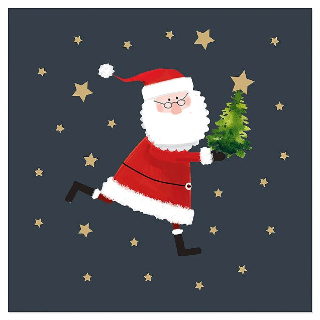 Holiday Napkins Santa
