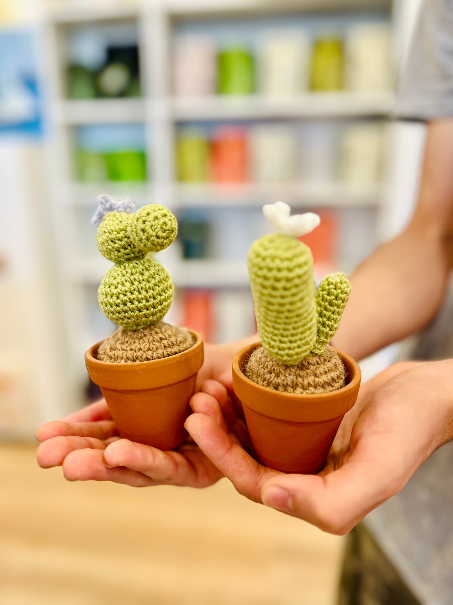 Crochet Cacti by Babi