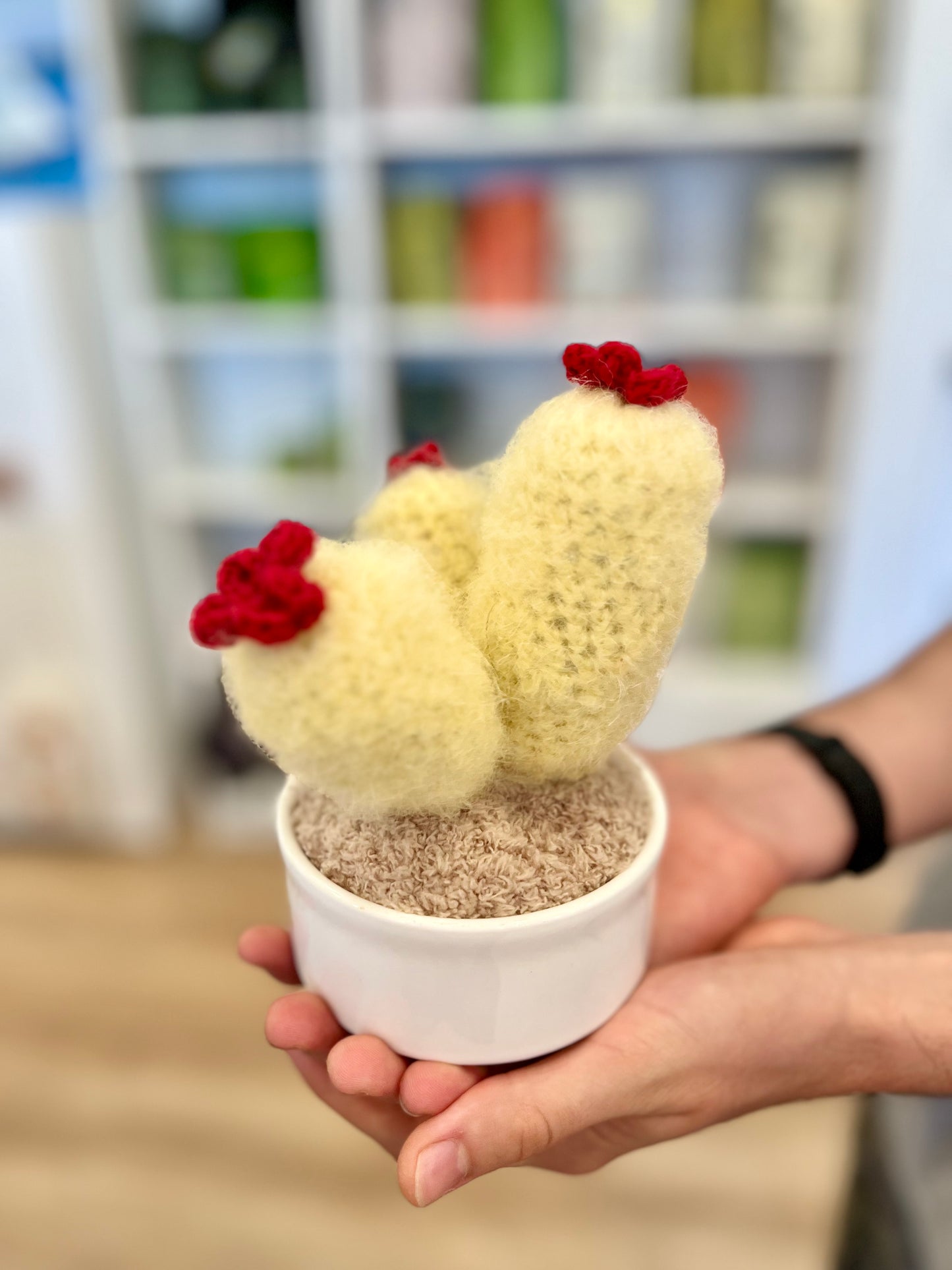 Crochet Cacti by Babi