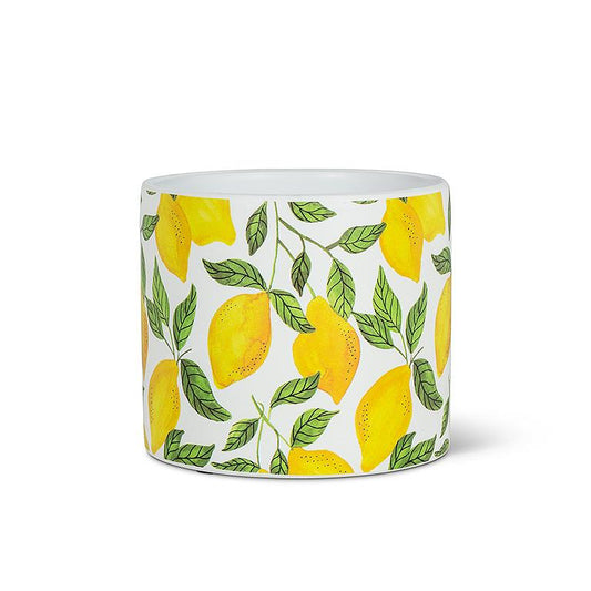 Lemon Tree Planter - Abbott Collection