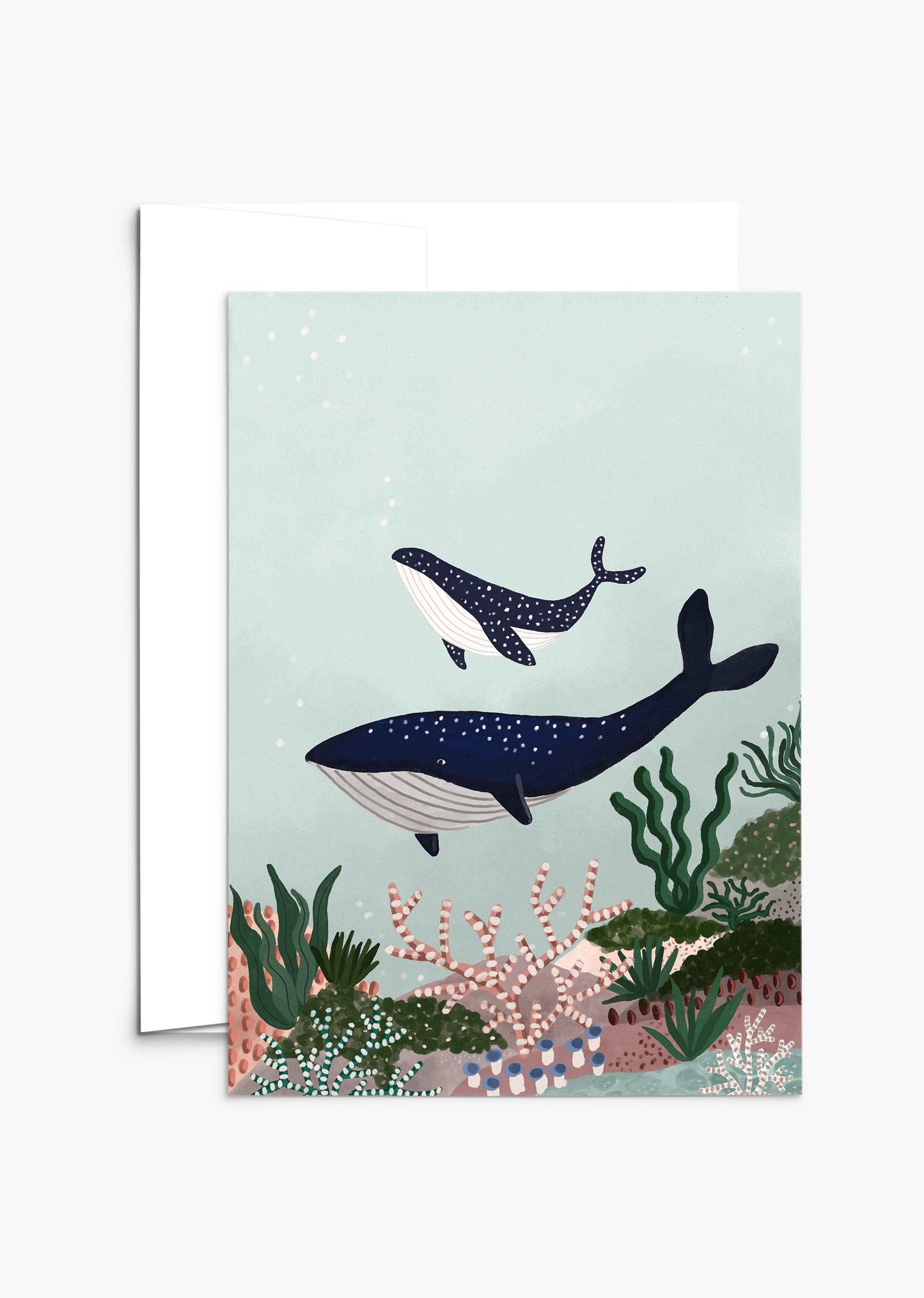 Whales - Mother and Baby