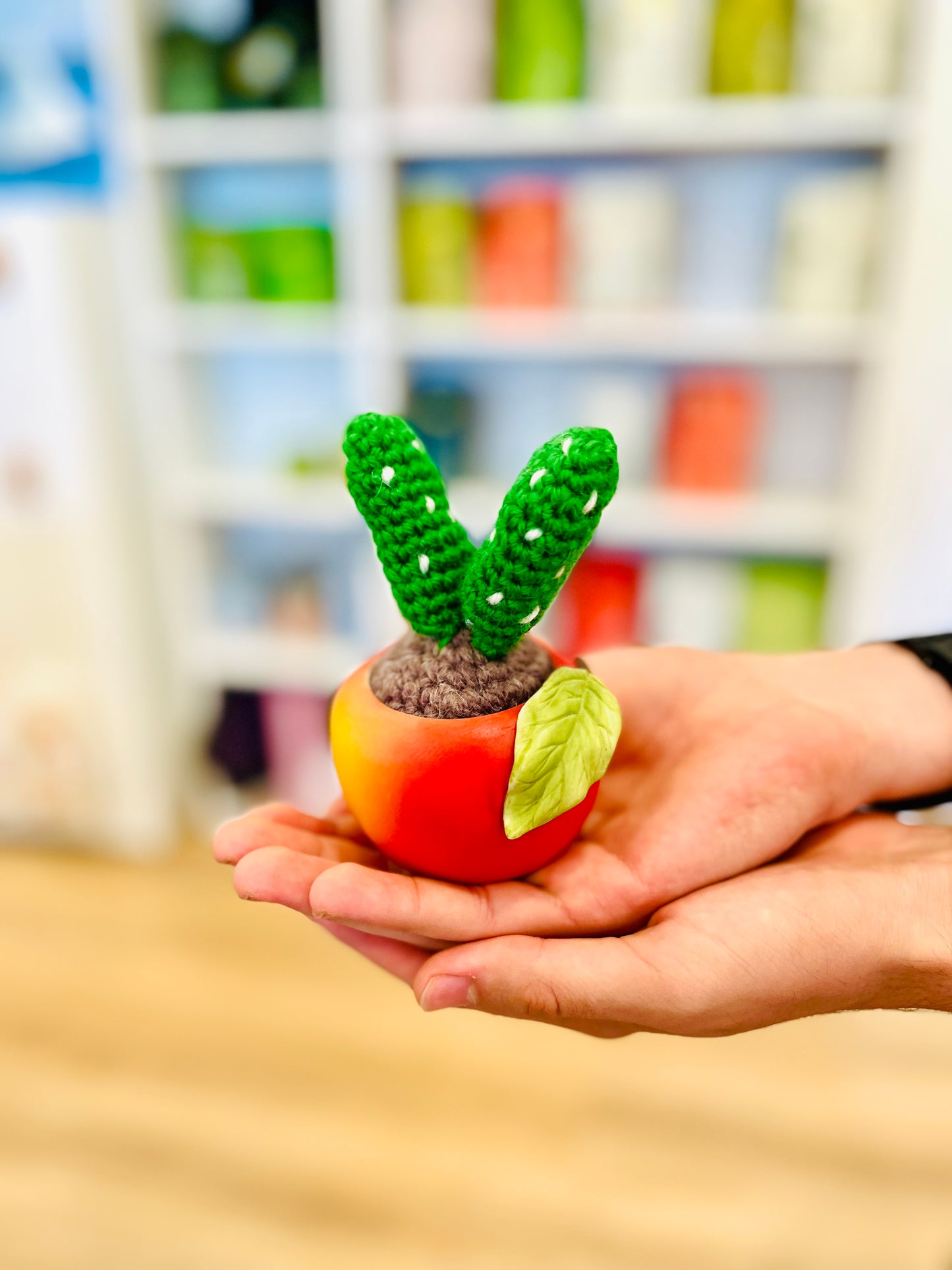 Crochet Cacti by Babi