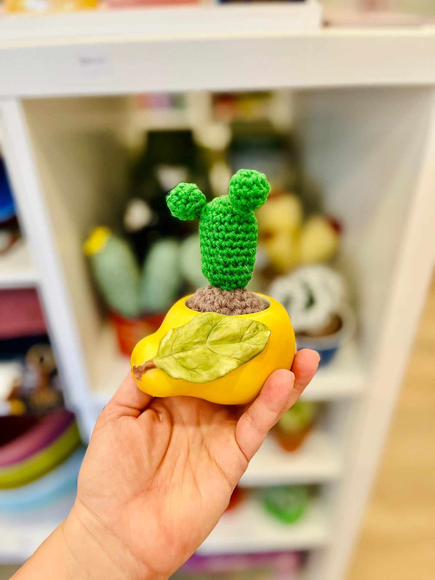 Crochet Cacti by Babi