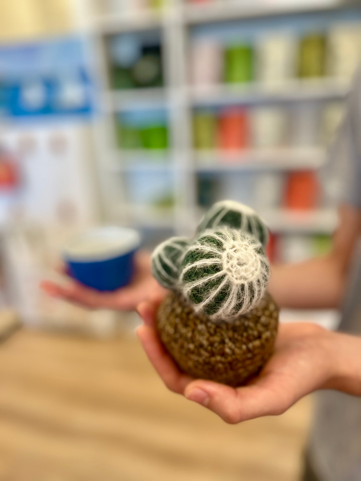 Crochet Cacti by Babi