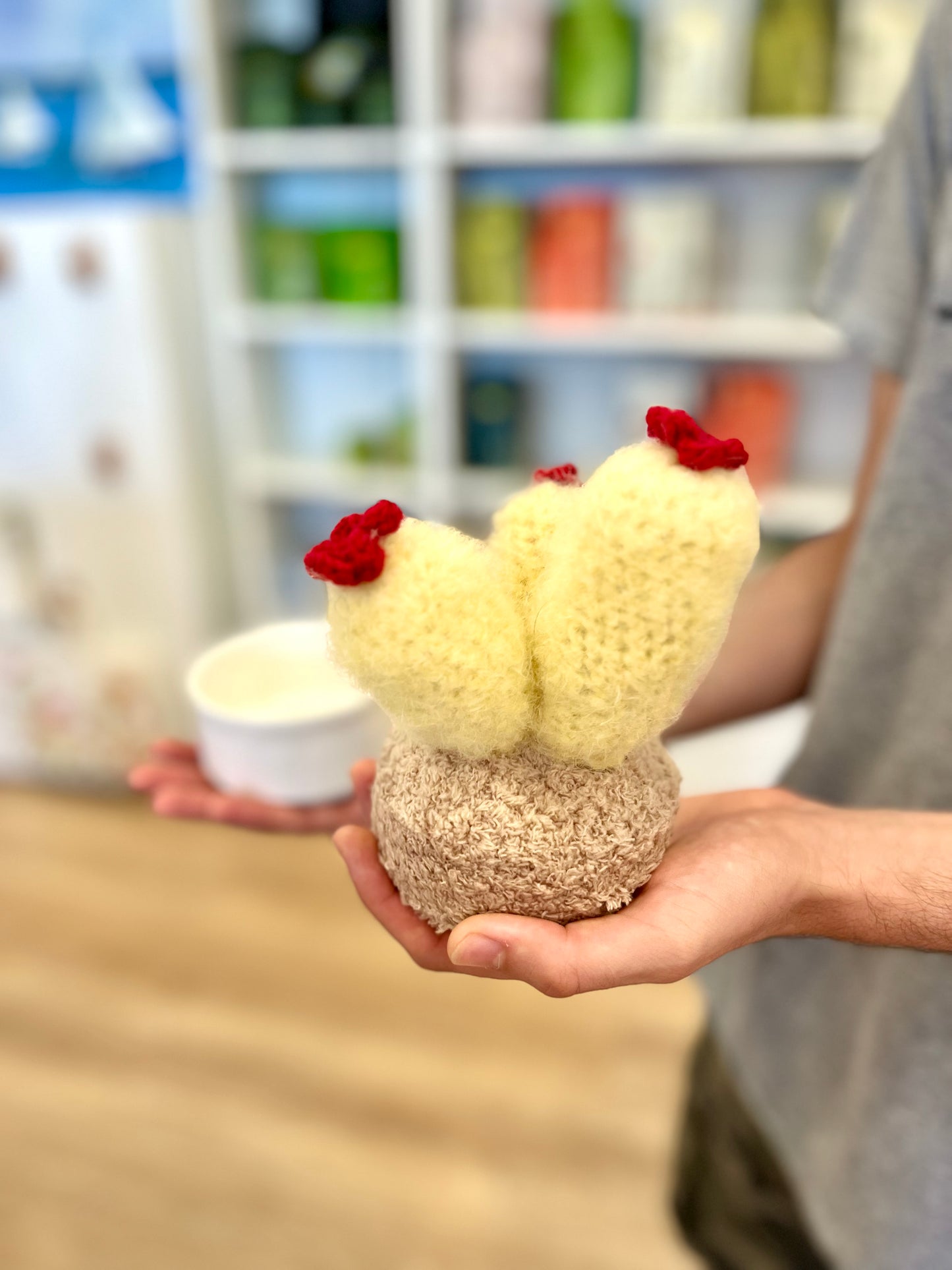 Crochet Cacti by Babi
