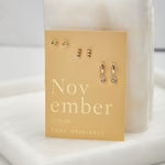 November Birthstone Necklace or Earrings Birthday Anniversaries Holiday Gifts