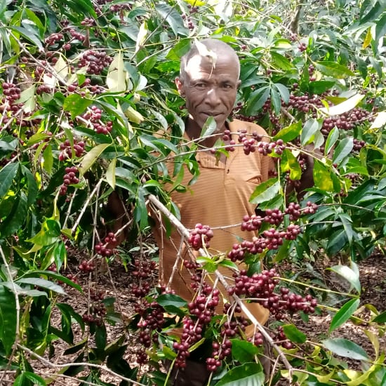 Ethiopia Mr. Mengeche Derso Natural
