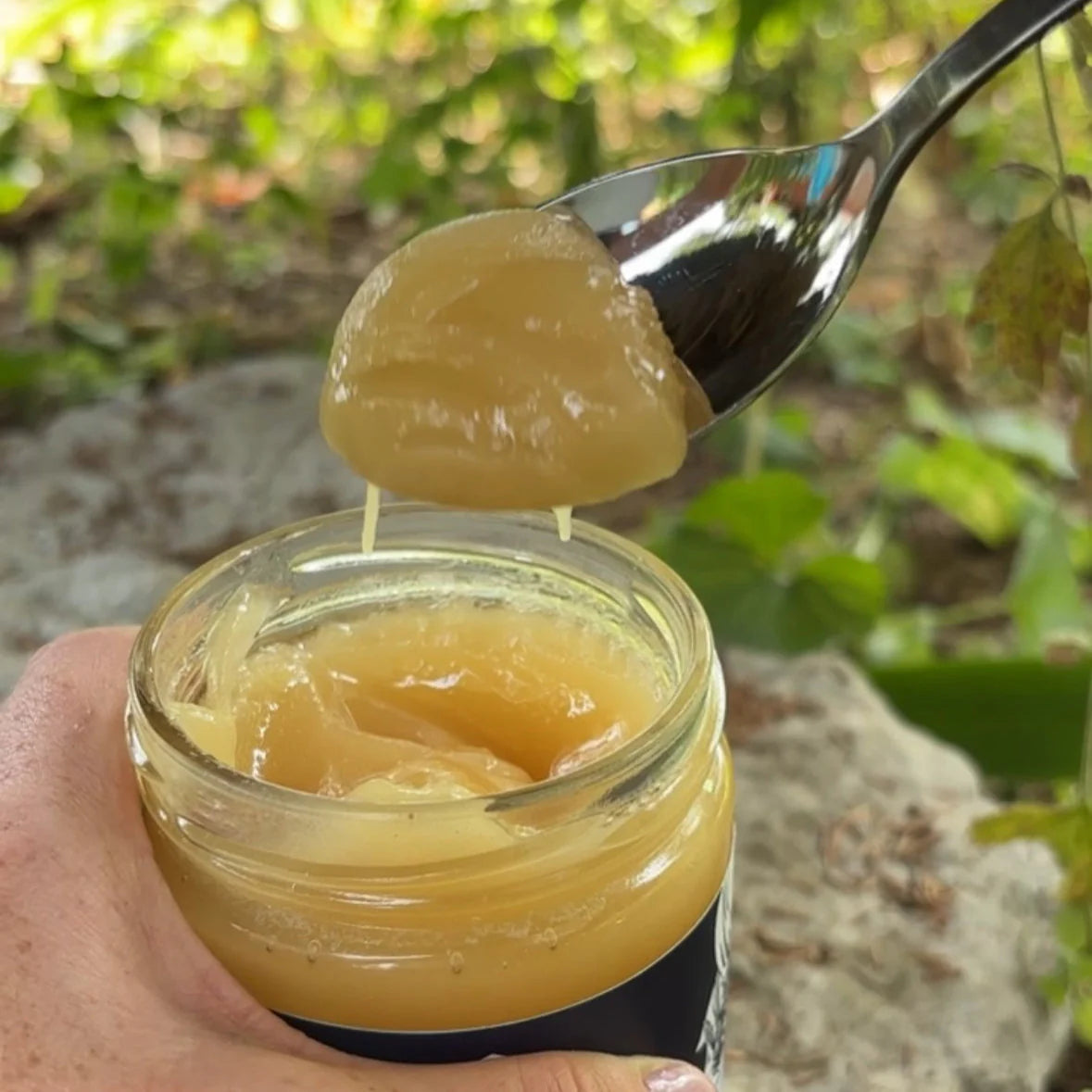 Kinghaven Creamed Honey