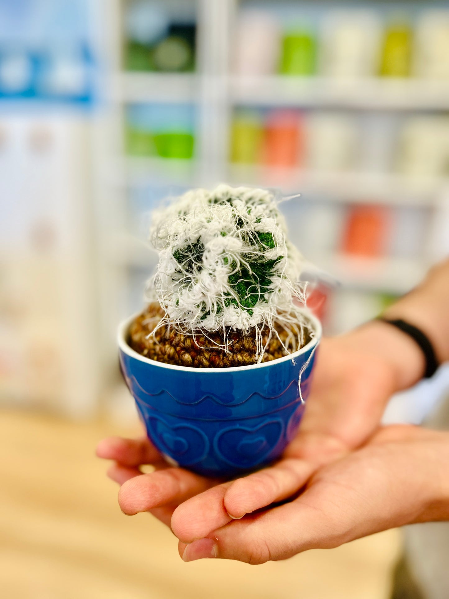 Crochet Cacti by Babi
