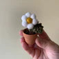 Felt Pompom Flowers in Terracotta Pot - Handmade in Ottawa