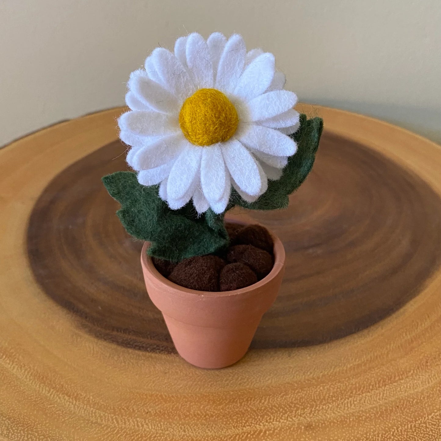 Felt Daisy in Terracotta Pot - Handmade in Ottawa