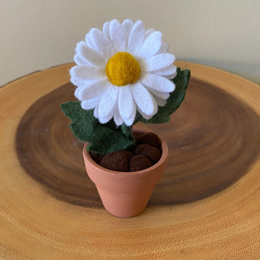 Felt Daisy in Terracotta Pot - Handmade in Ottawa