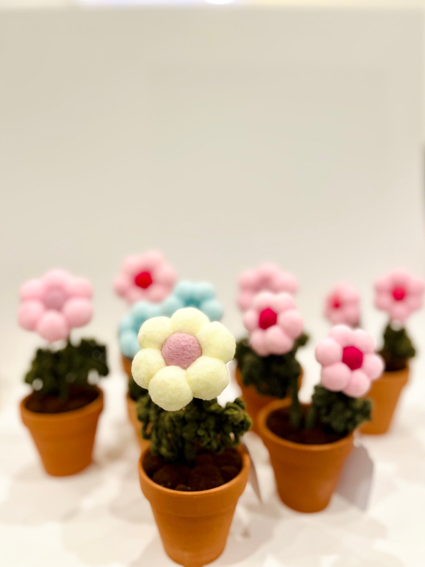 Felt Pompom Flowers in Terracotta Pot - Handmade in Ottawa
