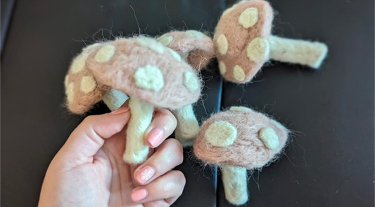 Felting Class: Mushroom - Wednesday June 3rd 6-9pm