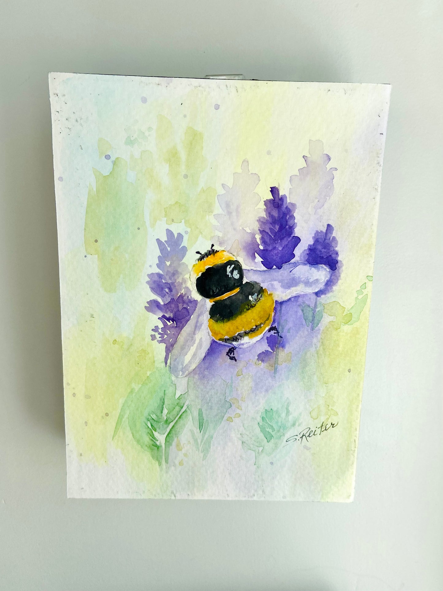 Original Watercolours on Wooden Blocks by Susan Reiter