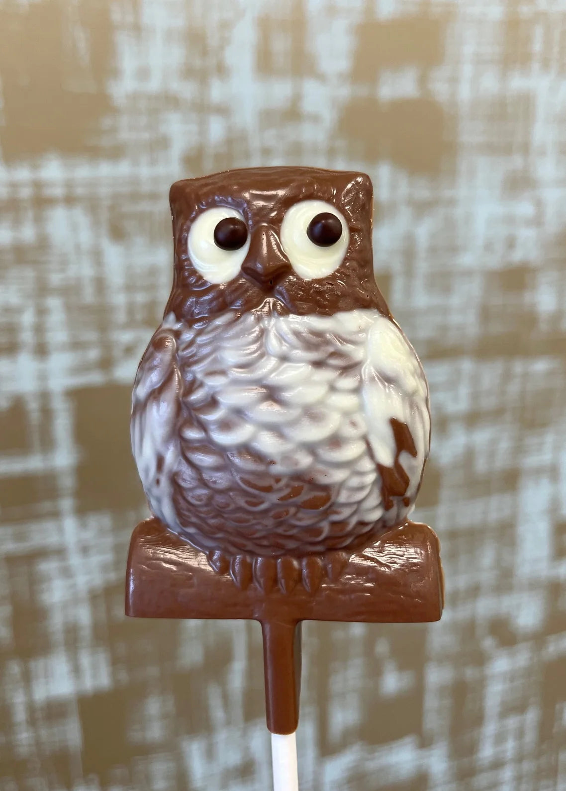 Chocolate Lollipop Owl or Cement Truck