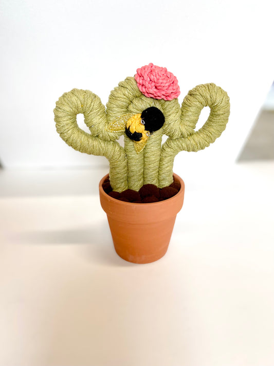 Green Cactus with Flower Hat and Caterpillar or Bee - ForgetBKnot