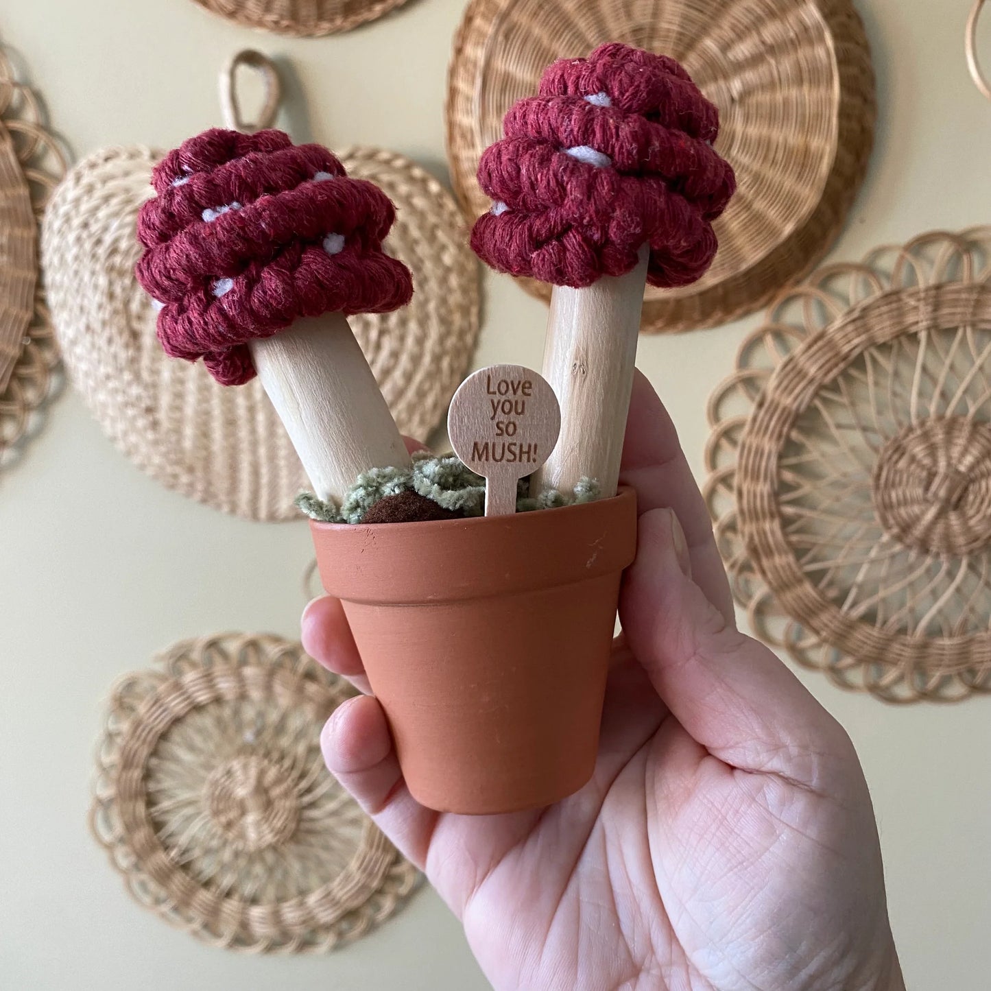 Felt Mushroom in Terracotta Pot - I love you so mush Handmade in Ottawa