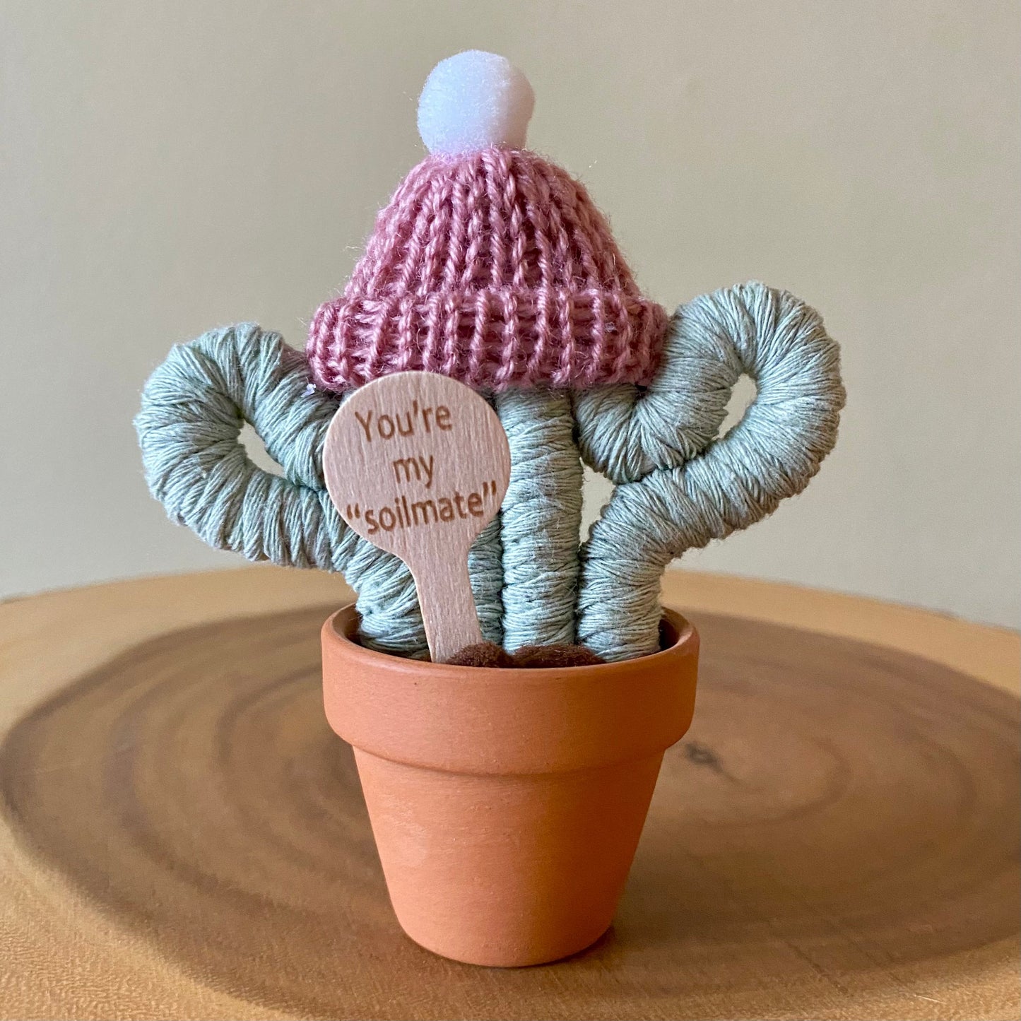 Green Cactus with Removable Hat - ForgetBKnot