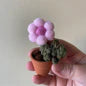 Felt Pompom Flowers in Terracotta Pot - Handmade in Ottawa