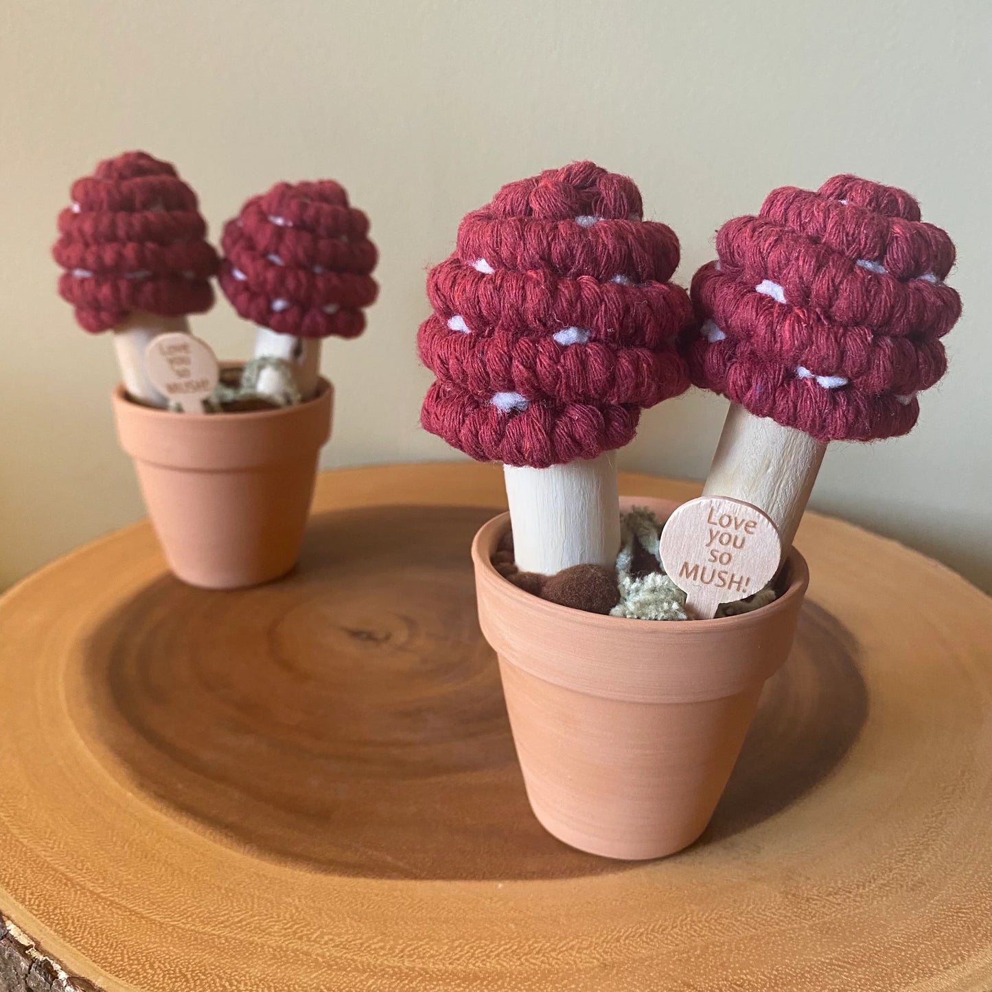 Felt Mushroom in Terracotta Pot - I love you so mush Handmade in Ottawa