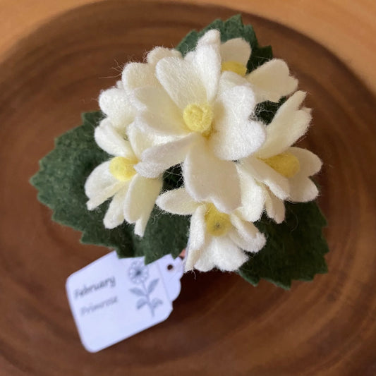 Felt Primerose in Terracotta Pot - Handmade in Ottawa