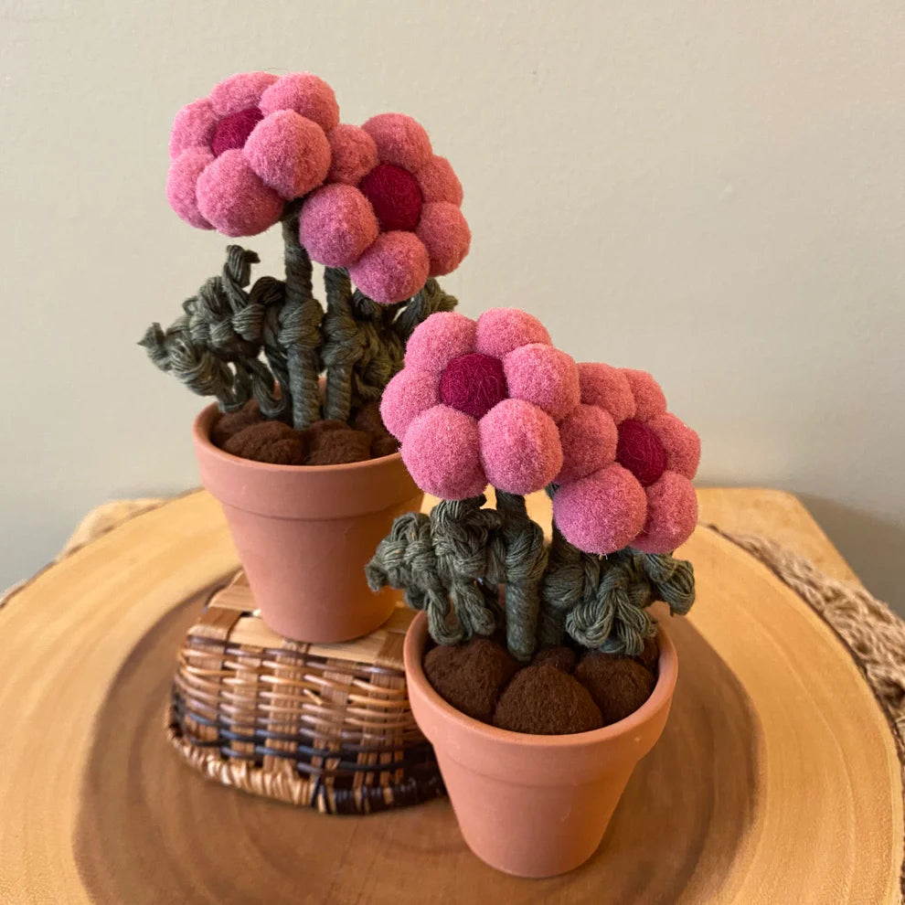Felt Pompom Flowers in Terracotta Pot - Handmade in Ottawa