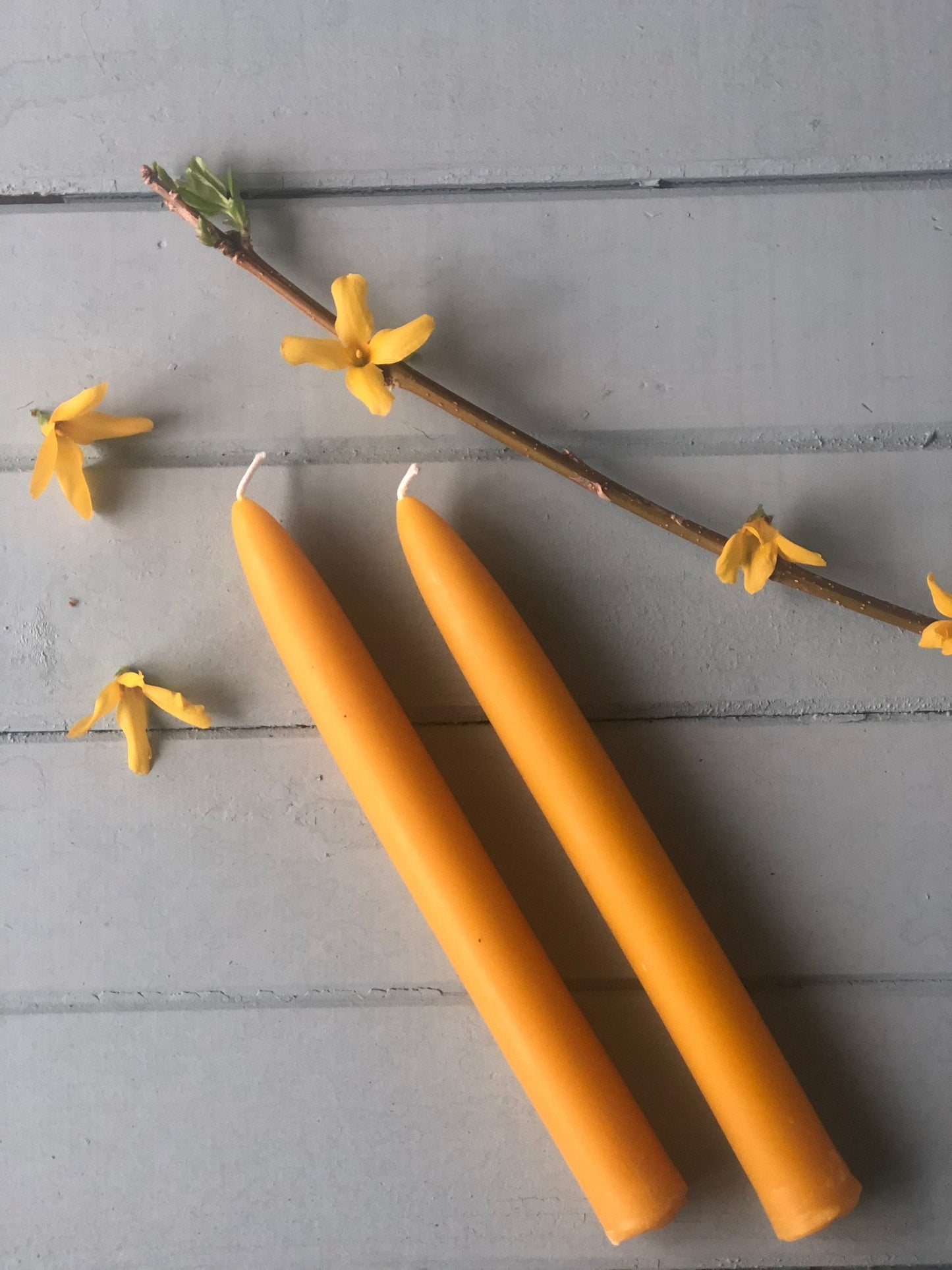 Tapers 8" Beeswax Candles - The Wax Studio