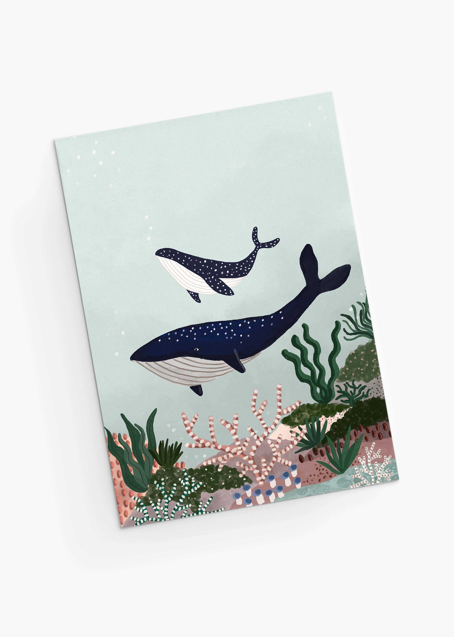 Whales - Mother and Baby
