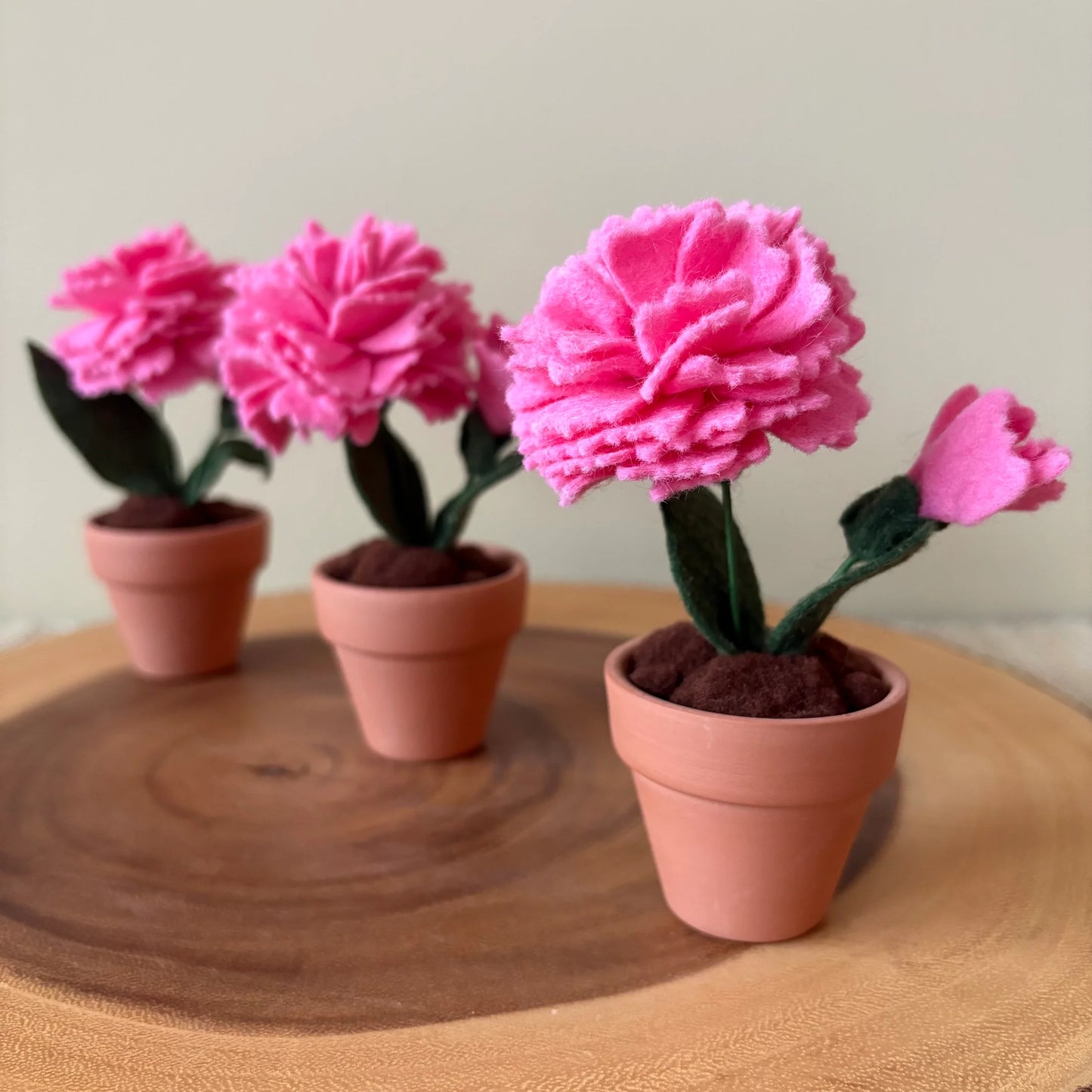 Felt Carnation in Terracotta Pot - Handmade in Ottawa