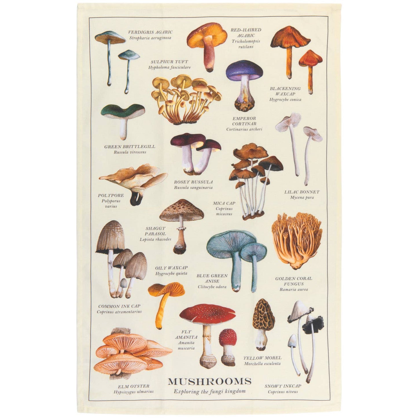 Now Designs Mushrooms Fine Print Dishtowel