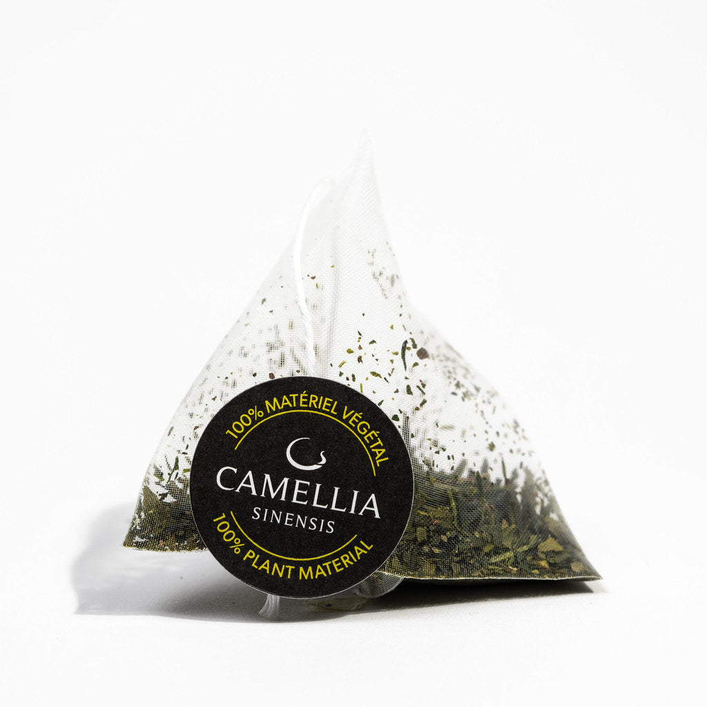 Sencha Nagashima - Organic Teabags - Camellia Sinensis