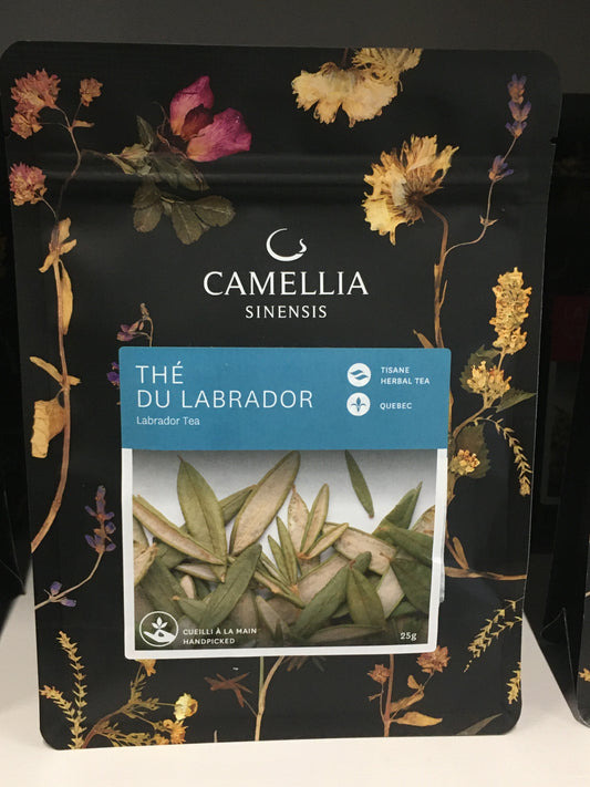 Labrador - Handpicked Loose Leaf Tisane - Camellia Sinensis