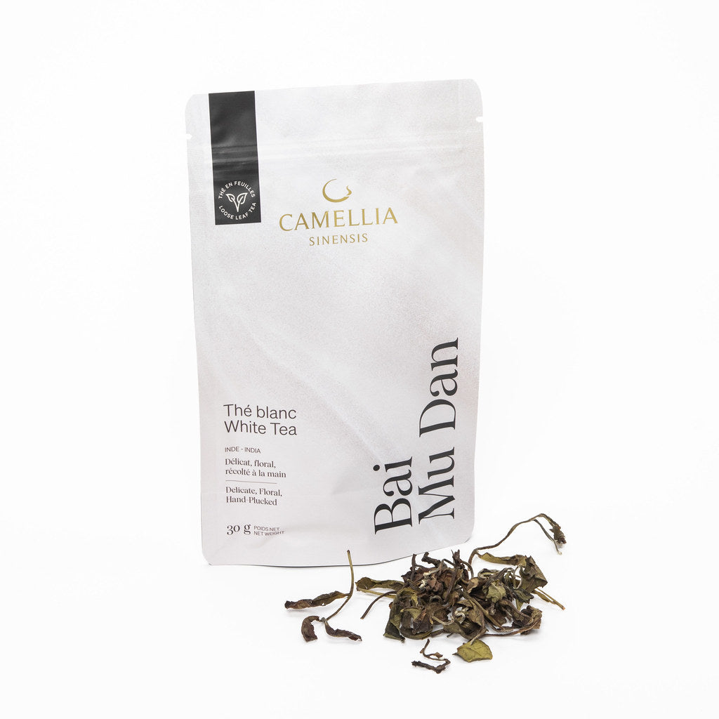 Bai Mu Dan White Tea - Loose Leaf - Camellia Sinensis