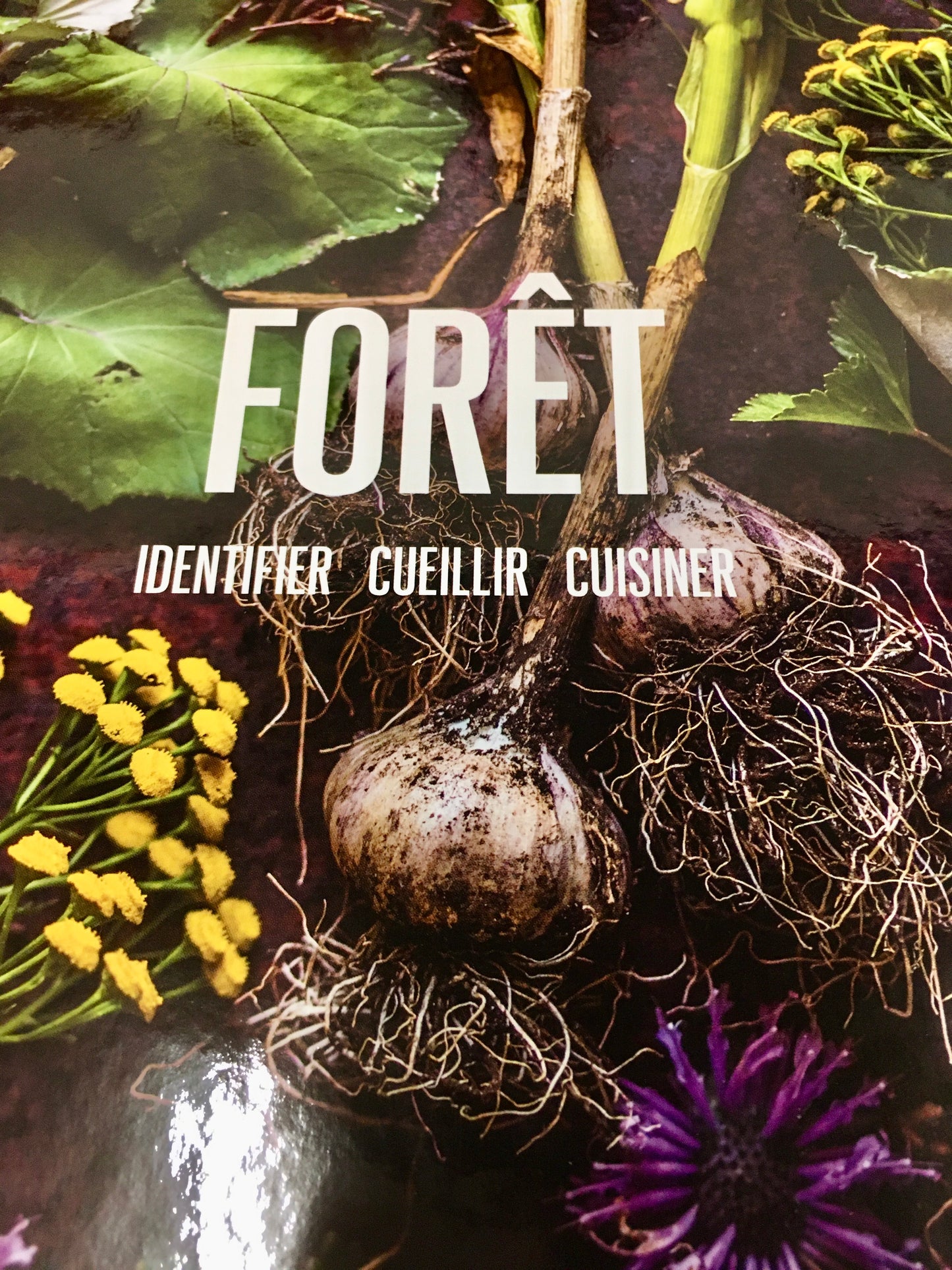 Forêt